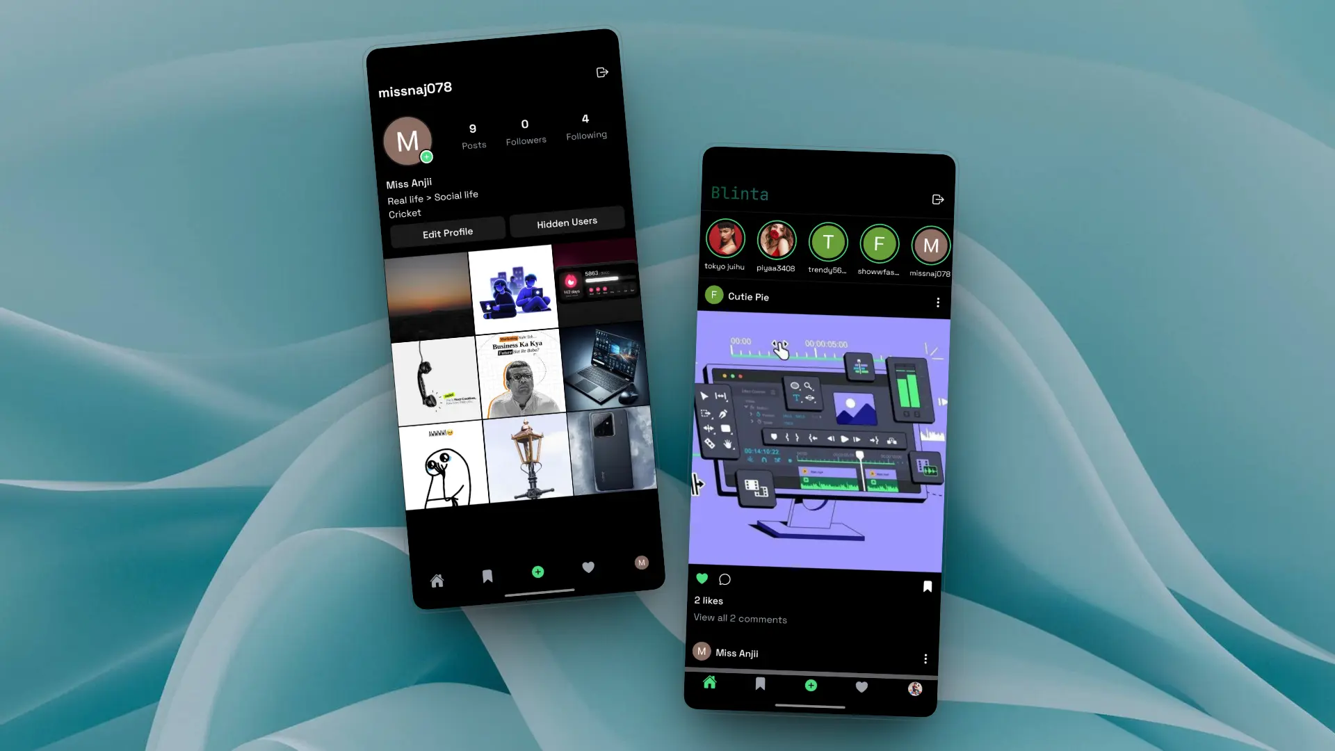 Blinta project screenshot